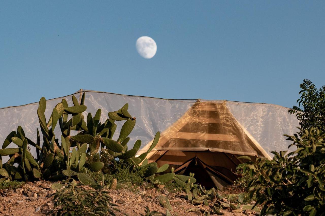 غيا ذي إسورا Finca Gaia La Segunda المظهر الخارجي الصورة