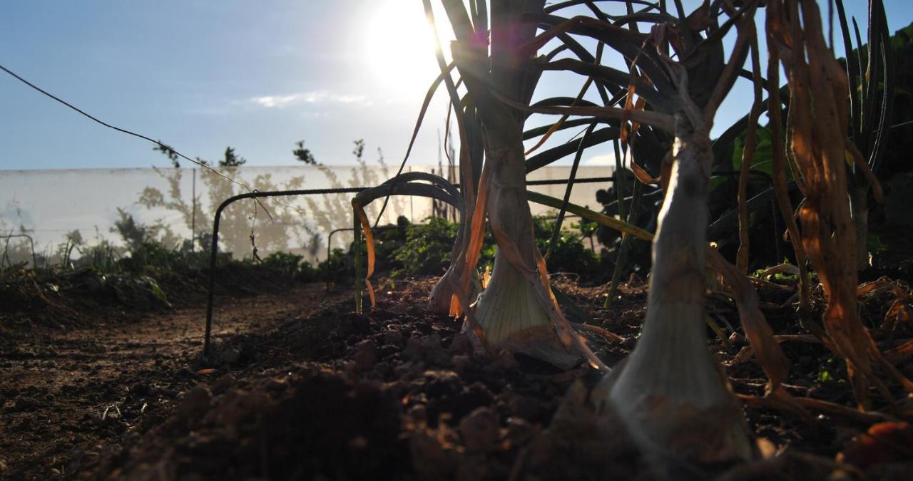 غيا ذي إسورا Finca Gaia La Segunda المظهر الخارجي الصورة