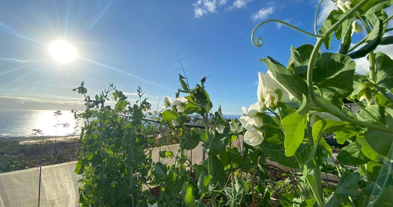 غيا ذي إسورا Finca Gaia La Segunda المظهر الخارجي الصورة