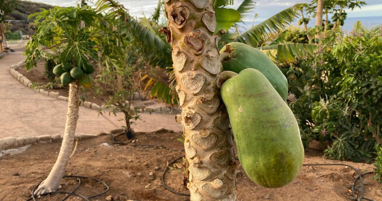 غيا ذي إسورا Finca Gaia La Segunda المظهر الخارجي الصورة