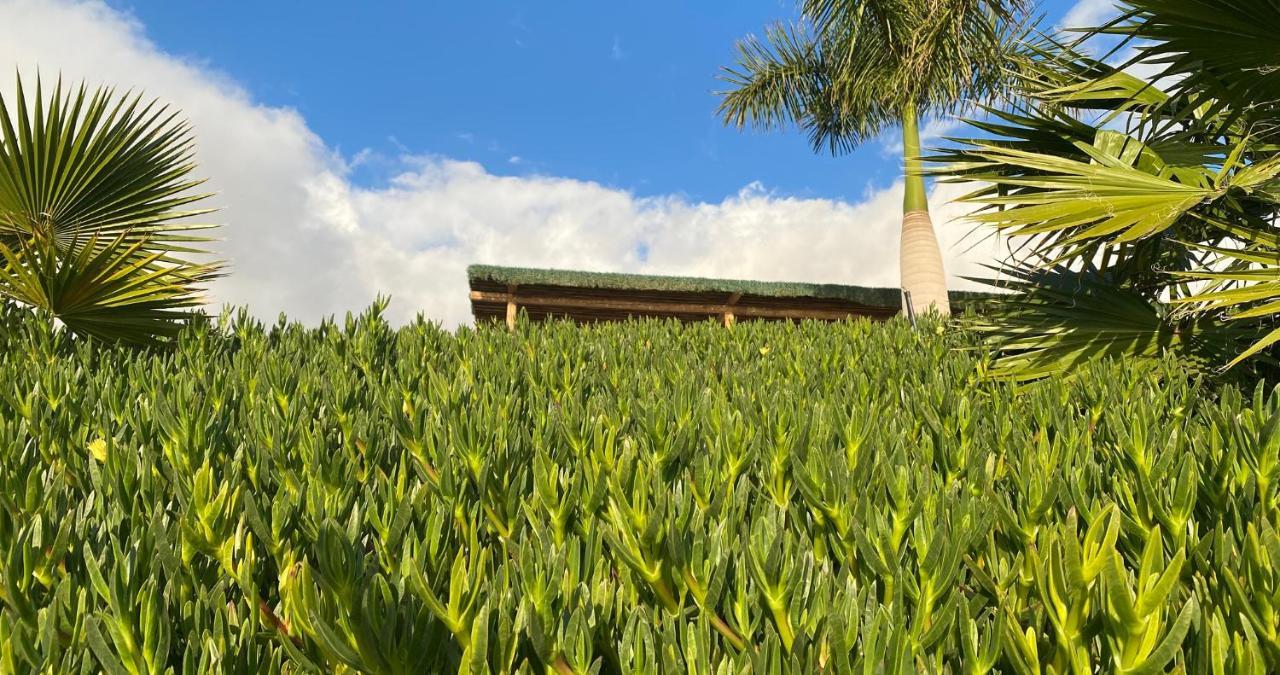 غيا ذي إسورا Finca Gaia La Segunda المظهر الخارجي الصورة