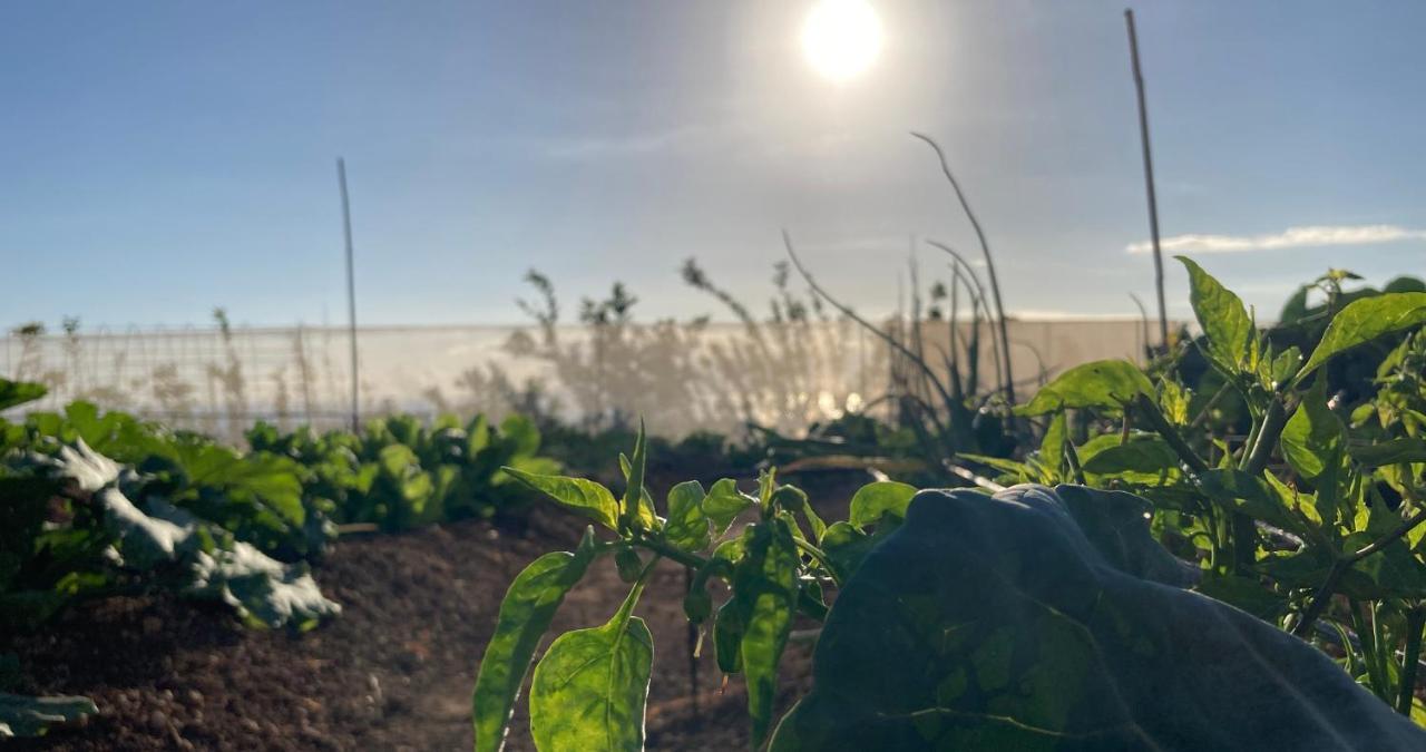 غيا ذي إسورا Finca Gaia La Segunda المظهر الخارجي الصورة